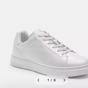 Coach High Line Sneakers